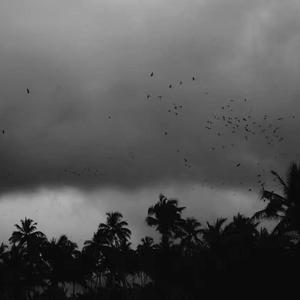 午夜福利09不卡片在线机视频
