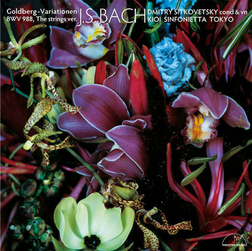 午夜福利09不卡片在线机视频
